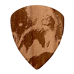 Enchanted Fire Feline Wood Guitar Pick (set Of 10) by ExtraGoodSauce