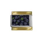 Blackberry Fruit, Fruit Gold Trim Italian Charm (9mm) Front