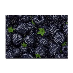 Blackberry Fruit, Fruit Sticker A4 (10 Pack) by kyorashop23