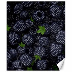 Blackberry Fruit, Fruit Canvas 20  X 24 