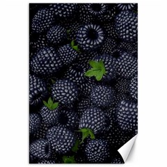 Blackberry Fruit, Fruit Canvas 20  X 30 