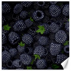 Blackberry Fruit, Fruit Canvas 12  X 12 