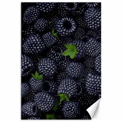 Blackberry Fruit, Fruit Canvas 12  X 18 