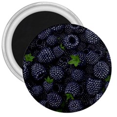 Blackberry Fruit, Fruit 3  Magnets