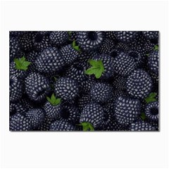 Blackberry Fruit, Fruit Postcard 4 x 6  (pkg Of 10)