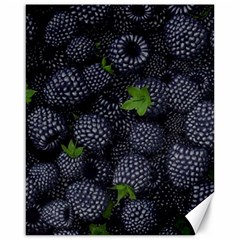 Blackberry Fruit, Fruit Canvas 16  X 20 