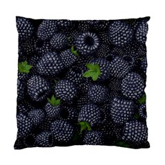 Blackberry Fruit, Fruit Standard Cushion Case (one Side)