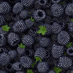 Blackberry Fruit, Fruit Play Mat (rectangle)