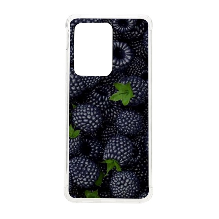 Blackberry Fruit, Fruit Samsung Galaxy S20 Ultra 6.9 Inch TPU UV Case