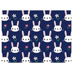 Cute Bunny Pattern, Easter, Koteto Premium Plush Fleece Blanket (Extra Small) 40 x30  Blanket Front