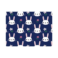 Cute Bunny Pattern, Easter, Koteto Premium Plush Fleece Blanket (mini)