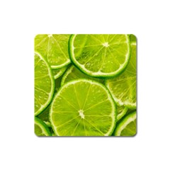 Lime Slices Close Up, Fresh, Fruit, Green Lemon Square Magnet