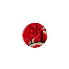 Watermelon, Fruit, Green, Red 1  Mini Magnets