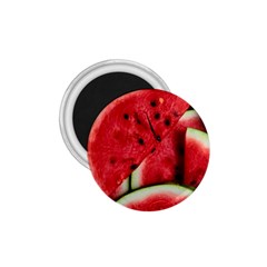 Watermelon, Fruit, Green, Red 1 75  Magnets