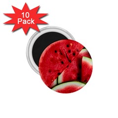 Watermelon, Fruit, Green, Red 1 75  Magnets (10 Pack)  by kyorashop23