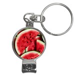 Watermelon, Fruit, Green, Red Nail Clippers Key Chain Front