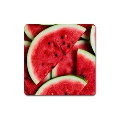 Watermelon, Fruit, Green, Red Square Magnet