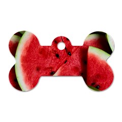 Watermelon, Fruit, Green, Red Dog Tag Bone (one Side)