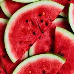 Watermelon, Fruit, Green, Red Play Mat (rectangle)