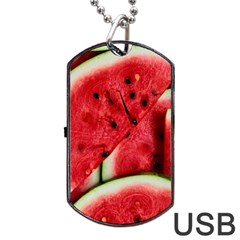 Watermelon, Fruit, Green, Red Dog Tag Usb Flash (two Sides)