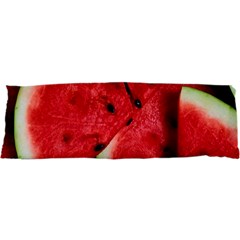 Watermelon, Fruit, Green, Red 21 x63  Body Pillow Case Dakimakura (two Sides) by kyorashop23