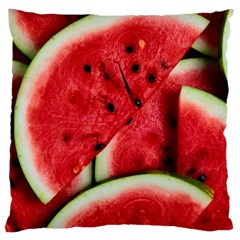 Watermelon, Fruit, Green, Red Large Cushion Case (one Side)