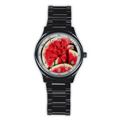 Watermelon, Fruit, Green, Red Stainless Steel Round Watch