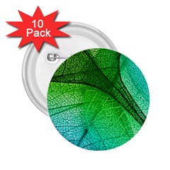 3d Leaves Texture Sheet Blue Green 2 25  Buttons (10 Pack) 