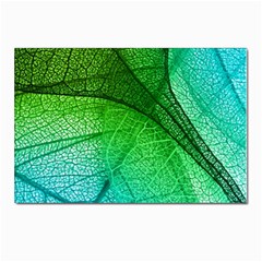 3d Leaves Texture Sheet Blue Green Postcard 4 x 6  (pkg Of 10)