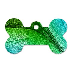 3d Leaves Texture Sheet Blue Green Dog Tag Bone (two Sides) by Cemarart