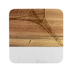 3d Leaves Texture Sheet Blue Green Marble Wood Coaster (square)