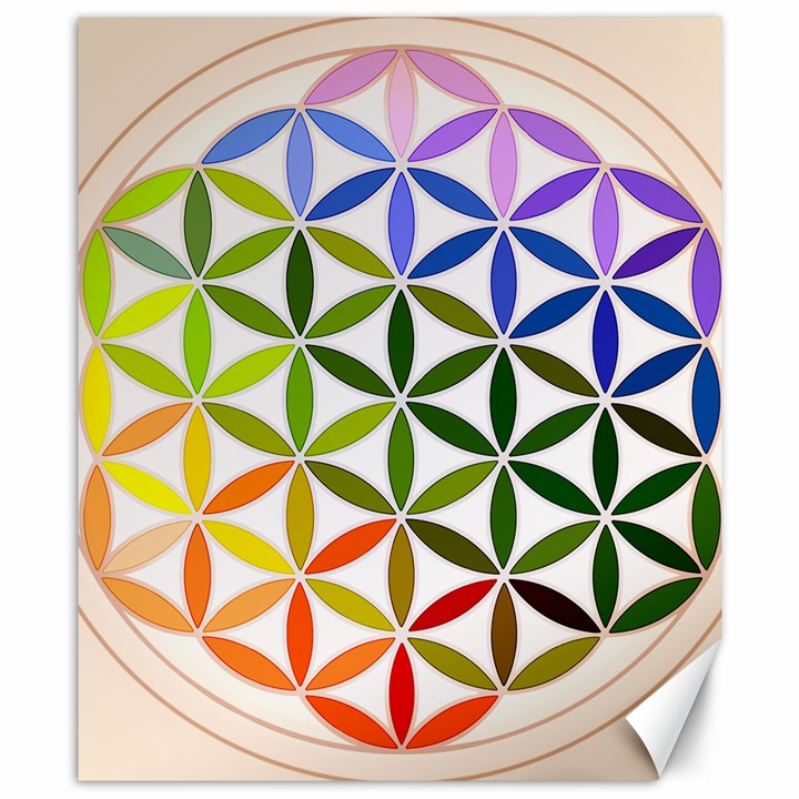 Mandala Rainbow Colorful Canvas 8  x 10 