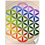 Mandala Rainbow Colorful Canvas 12  x 16  11.86 x15.41  Canvas - 1