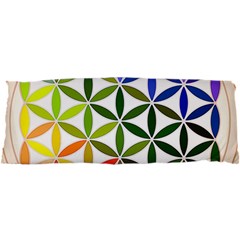 Mandala Rainbow Colorful 25 x67  Body Pillow Case Dakimakura (two Sides)