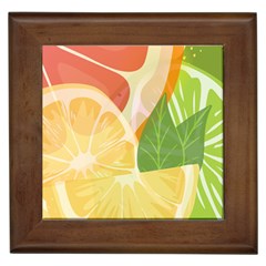 Citrus Fruit Healthy Vitamin Framed Tile by Paksenen