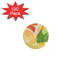 Citrus Fruit Healthy Vitamin 1  Mini Magnets (100 Pack)  by Paksenen