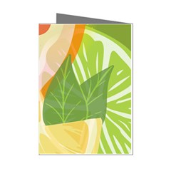 Citrus Fruit Healthy Vitamin Mini Greeting Cards (pkg Of 8) by Paksenen