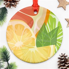 Citrus Fruit Healthy Vitamin Round Ornament (two Sides)