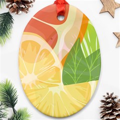 Citrus Fruit Healthy Vitamin Oval Ornament (two Sides)