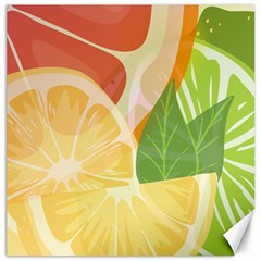 Citrus Fruit Healthy Vitamin Canvas 12  X 12  by Paksenen