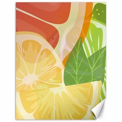 Citrus Fruit Healthy Vitamin Canvas 12  X 16  by Paksenen