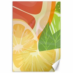 Citrus Fruit Healthy Vitamin Canvas 12  X 18  by Paksenen