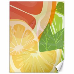 Citrus Fruit Healthy Vitamin Canvas 18  X 24  by Paksenen