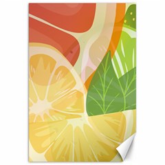 Citrus Fruit Healthy Vitamin Canvas 20  X 30  by Paksenen