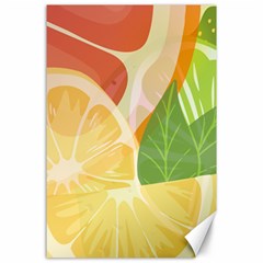 Citrus Fruit Healthy Vitamin Canvas 24  X 36  by Paksenen