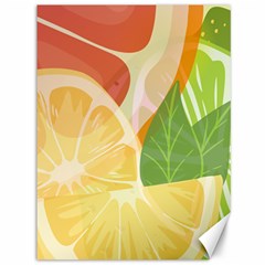 Citrus Fruit Healthy Vitamin Canvas 36  X 48  by Paksenen