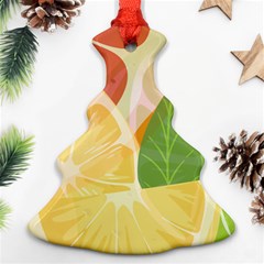 Citrus Fruit Healthy Vitamin Christmas Tree Ornament (two Sides) by Paksenen