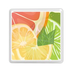 Citrus Fruit Healthy Vitamin Memory Card Reader (square) by Paksenen