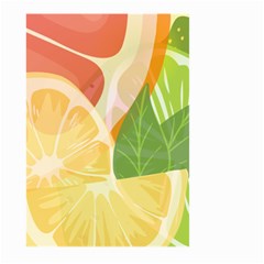 Citrus Fruit Healthy Vitamin Large Garden Flag (two Sides) by Paksenen