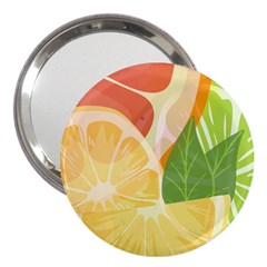 Citrus Fruit Healthy Vitamin 3  Handbag Mirrors by Paksenen